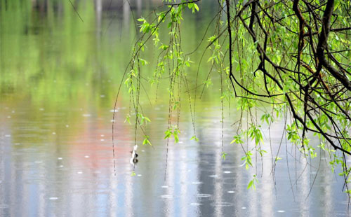 雨中的智慧守护 —— 易捷信息技术在雨季的应用实践